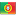 Small flag of Portugal